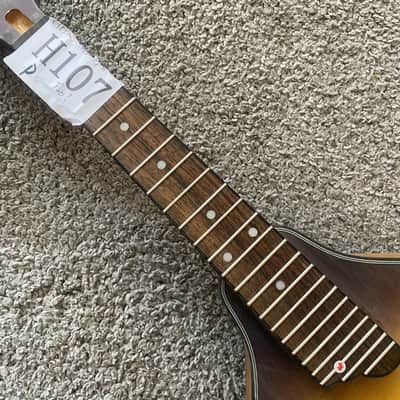 Honey Burst 8 String Mandolin Project, Spruce Top, Mahogany Body, Rosewood Fingerboard image 10