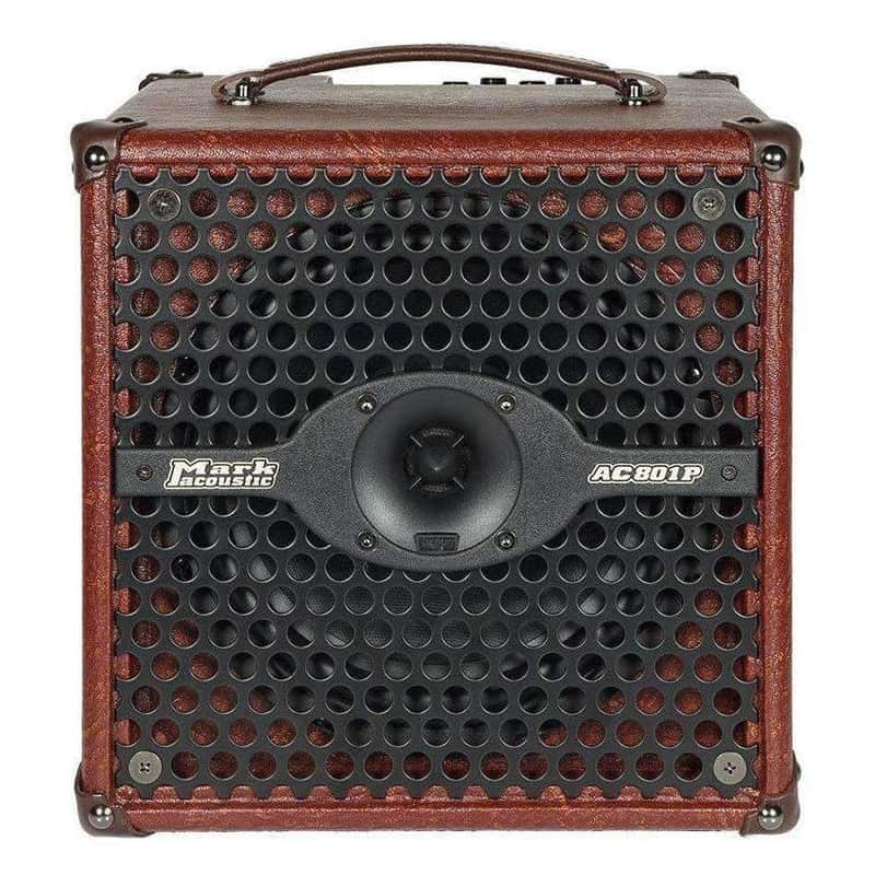 DV Mark AC 801 P 60-Watt 1x8" Acoustic Guitar Combo image 1