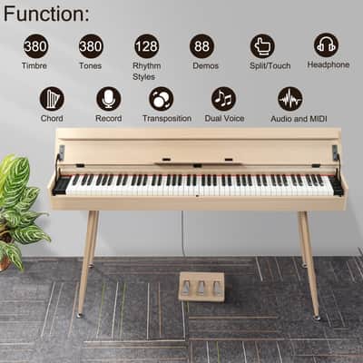 Glarry GDP-206 88-Key Home Fully Weighted Hammer-action Keybed Digital Piano image 2