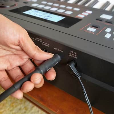 Roland E-X50 Entertainment Keyboard image 6
