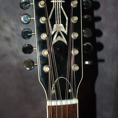 Video Demo 1966 JG Julio Giulietti Hollow Body GREEN 12 String Guitar Original Hard Shell Case image 7