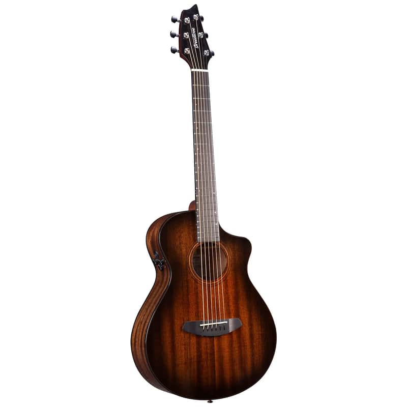 Breedlove Wildwood Pro Companion Suede CE image 1