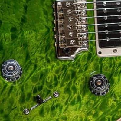 PRS Custom 24 Wood Library image 5