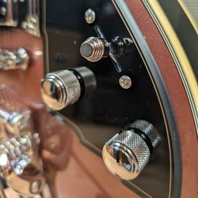 Duesenberg Starplayer TV 2025 - Catalina Sunset Rose image 8