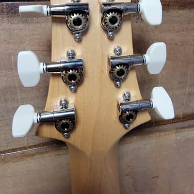 PRS Swamp Ash Special Maple - Jasper Smokeburst image 13