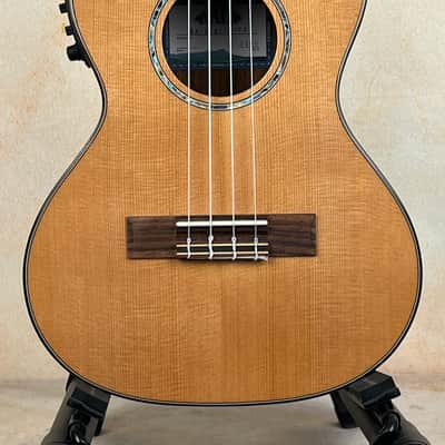 Kala KA-SCAC-T-CE 2023 - Gloss image 2
