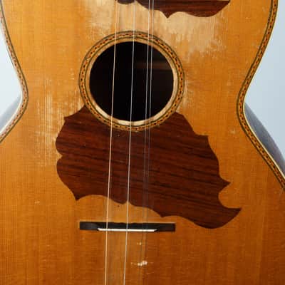 Brach Tamburitza Guitar-Bodied 5-string, Rosewood and Spruce, Great Sound! image 4