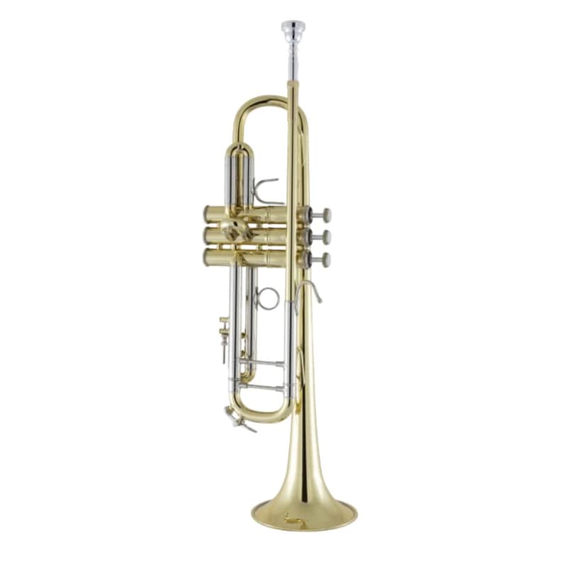 Bach Stradivarius 18043G Bb Trumpet image 1