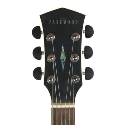 Parkwood Acoustic Owned by Greg Howe image 7