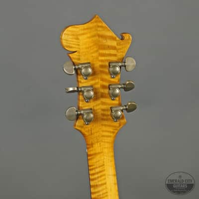 1986 HML Custom Guitar (Built by Howard Leese of Heart) image 5