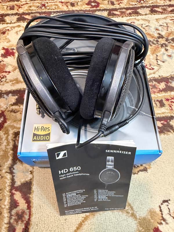 Sennheiser HD 650 Reference Headphones 2020s - Black image 1