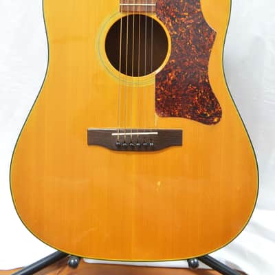 1976 Gibson J-55 American Made Acoustic Electric image 2