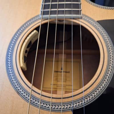 Nice! Orangewood Sage Live w LR Baggs Anthem System & Case - Natural Satin image 10