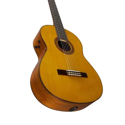 Yamaha Transacoustic Nylon String Cg Guitar image 11