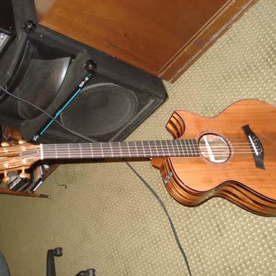 Taylor 2009 Custom Shop Sinker Redwood Top/ Macassar Ebony sides and back, Custom GC image 5