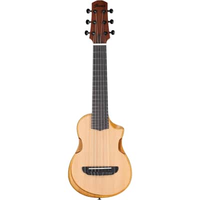 Ibanez AUP10N Tenor Ukulele (with Gig Bag), Open Pore Natural image 4
