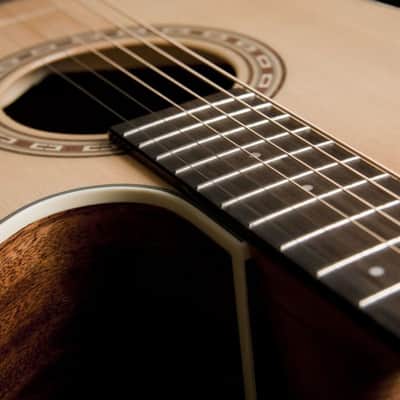 Washburn D7SCE | Harvest Series Dreadnought with Electronics.  New with Full Warranty! image 7