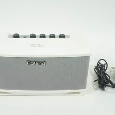 Roland CUBE Lite MONITOR CUBE-LM Stereo 2.1ch Monitor Amp Reverb