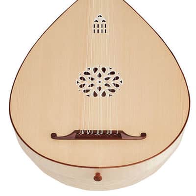 Folk Instruments Professional Design 5 Course Medieval Lute w/ Hardcase image 3
