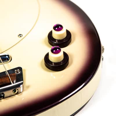 Danelectro Bass Owned by Brian Setzer image 9