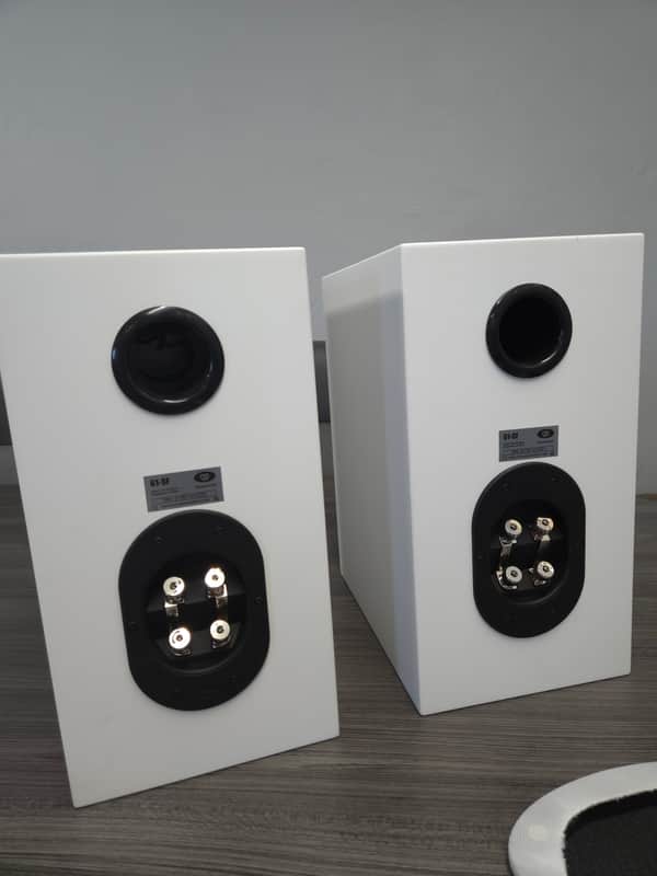RBH 61-SF 2025 - White w/Silver Woofer (New -Display Units) image 1