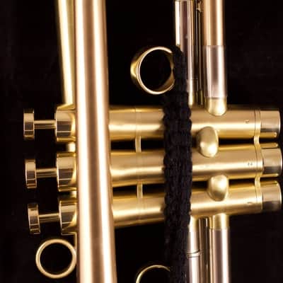 Show Demo Adams A8 Ergonomic Trumpet in Satin Lacquer image 16