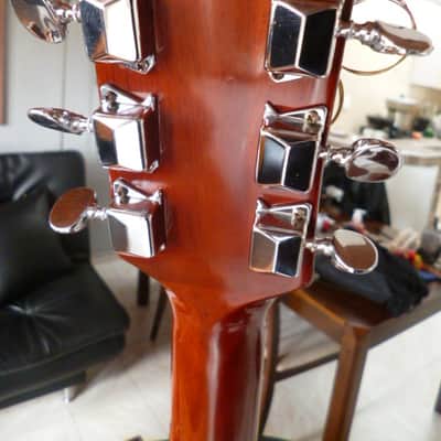 Immagine Ensenada  wg 66 Dreadnaught folk 1970 natural - 6