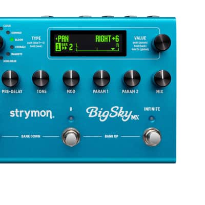 Strymon Big Sky MX incl. Cordial CCFI 3 PP - Bundle Set image 15