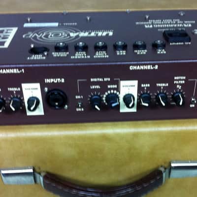 Ultrasound DS3  DS-3  Acoustic Amplifier image 2