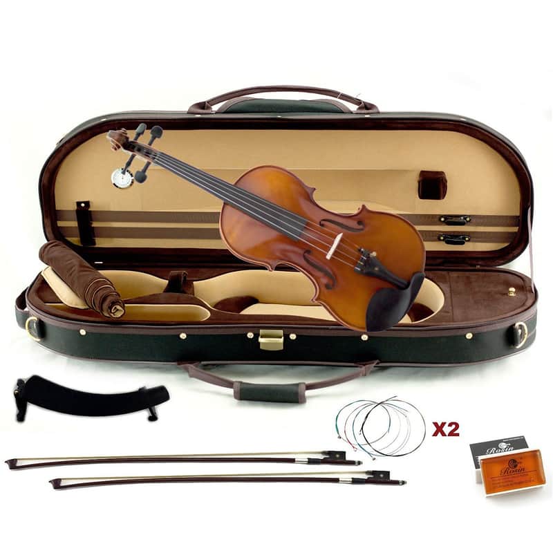 Sky Artist 500 Series 4/4 Concert Violin, Case and Accessory Package image 1