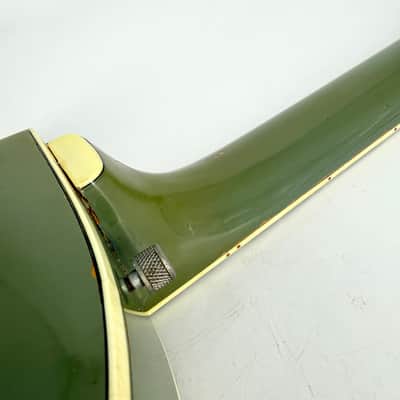 1969 Gretsch 6118 Double Anniversary - 2 Tone Smoked Green image 20