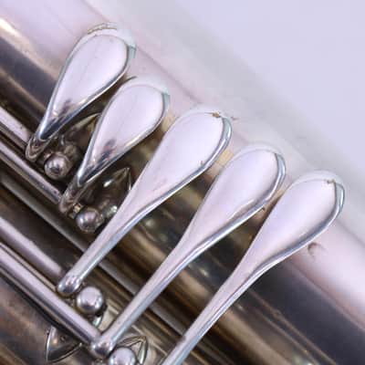 C. Mahillion Contabass A Anche (Reed Contrabass) AMAZING AND GORGEOUS image 6