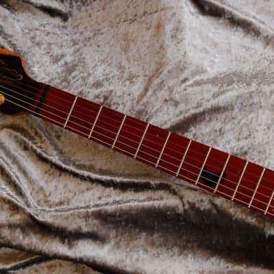 Build to order GB Liuteria Boutique Petra 6 string fiber optic lights edition image 7