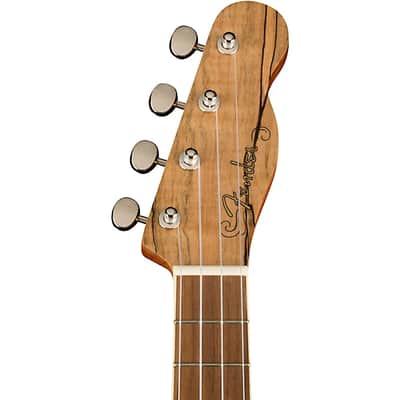 Fender Zuma Exotic Concert Ukulele, Walnut Fingerboard, Spalted Maple image 6