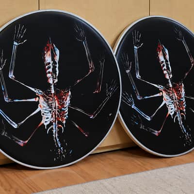 Tool, PAIR of 22" Fear Inoculum Bass Drumheads, Danny Carey image 1