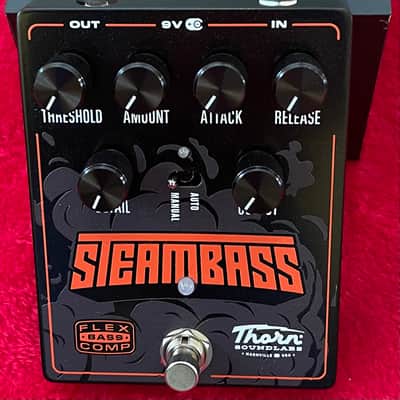 Thorn Sound Labs SteamBass 2025 image 2