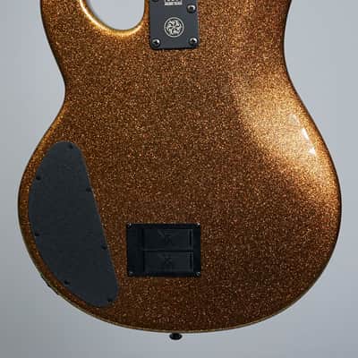 Ernie Ball Music Man DarkRay  2024 - Gold Bar image 5