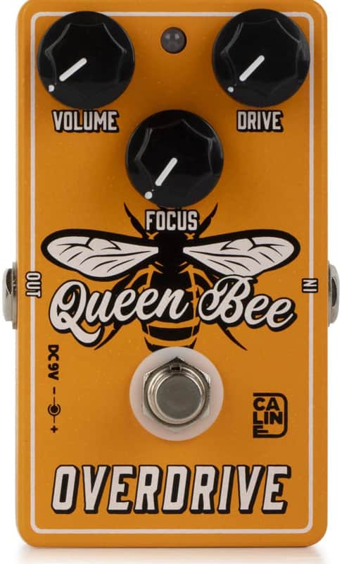 Caline CP503 Queen Bee Overdrive Guitar & Bass Effects Pedal (CP-503) image 1