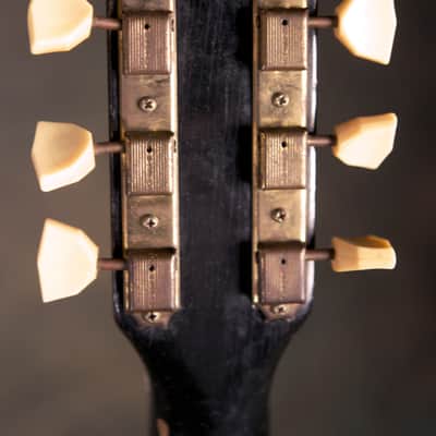 Supro Ozark 1952 White image 4