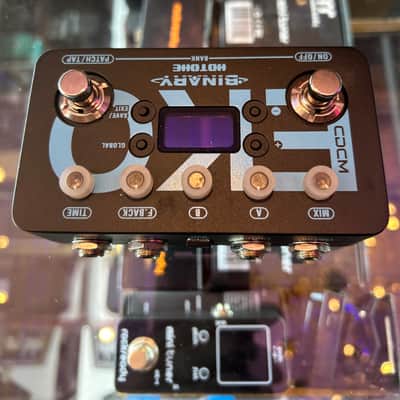 Hotone Binary Eko Delay 2022- Black/Blue image 4