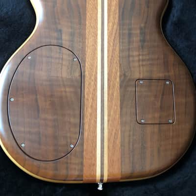 Alembic Brown Bass image 13