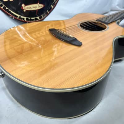 Breedlove Pursuit EX Concert CE ZC Acoustic/Electric Guitar image 17