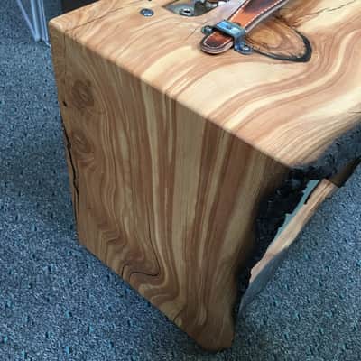 Fender Custom Shop Forest Fire Juniper '57 Champ Guitar Amplifier - Only One Built image 4