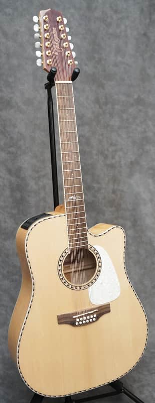 Takamine GD74CE-12 Unison 12 String Acoustic-Electric Guitar Natural Finish - W/Setup image 1