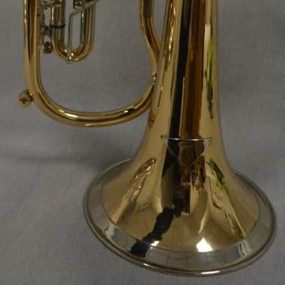Fliscorno de cilindros Miraphone 24R en perfecto estado. image 14