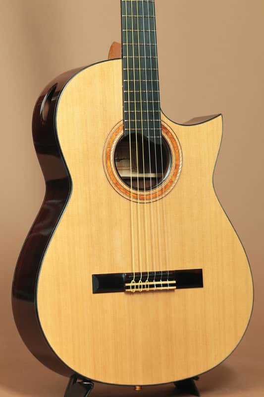 Ryosuke Kobayashi Guitars Nylon Crossover Electric Cocobolo | Reverb