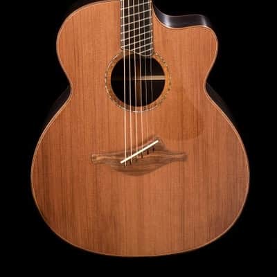 Lowden O50c Fan Fret African Blackwood image 6