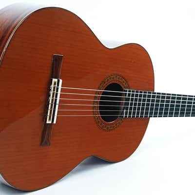 Pedro Maldonado Flamenco Negra 1974 image 12
