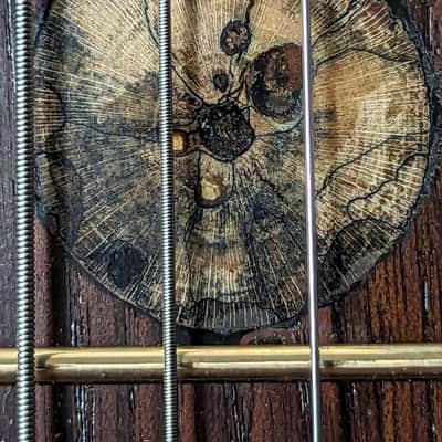 Ray Vincent Shell back guitar 2023 - Shellac and oil image 21