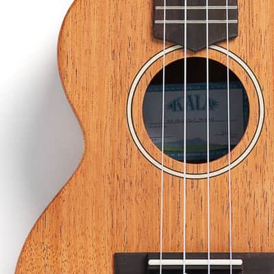 Kala James Hill Signature Solid Top Mahogany Concert Ukulele image 3